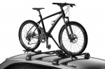 Thule 598 ProRide Black (2 pack)