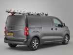 Rhino RAS37 LadderStow