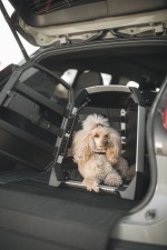 Thule Allax dog mat