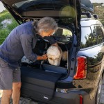 Thule Allax XS Threshold Compatible dog crate 770010
