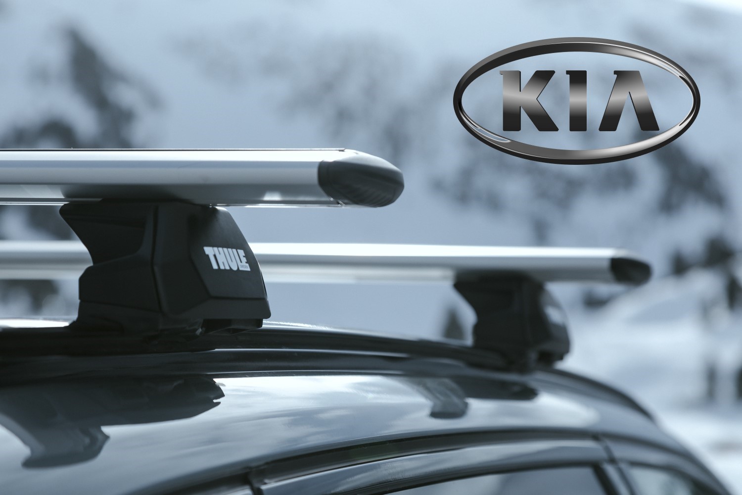 Kia roof bars by Thule